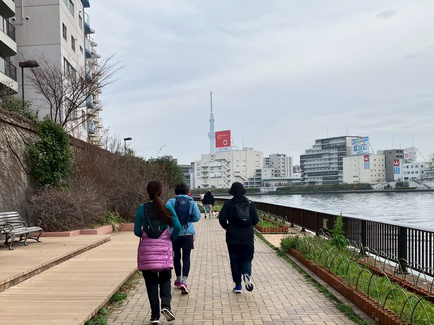東京の墨田川テラスで初心者向けのスロージョギングクラブの練習風景